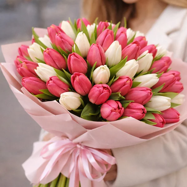 51 бело-розовый тюльпан